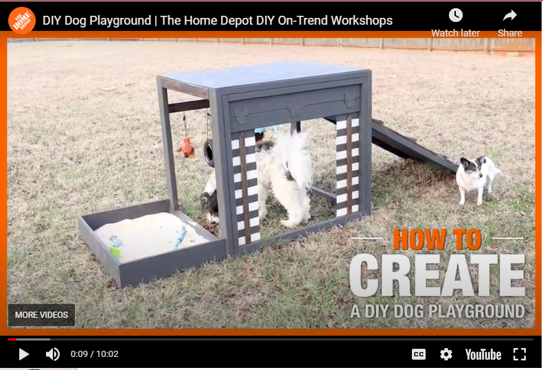 How to Build a Dog Playground Canine Welfare Science