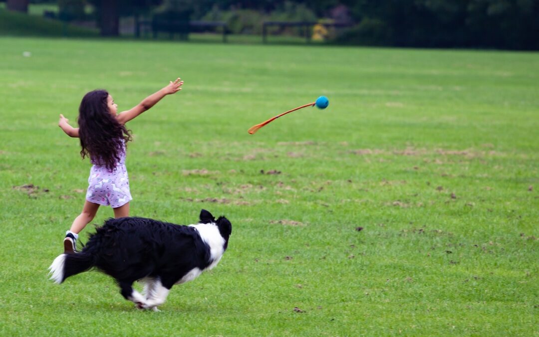 Be Dog Smart: Signs Your Child is Ready for a Dog