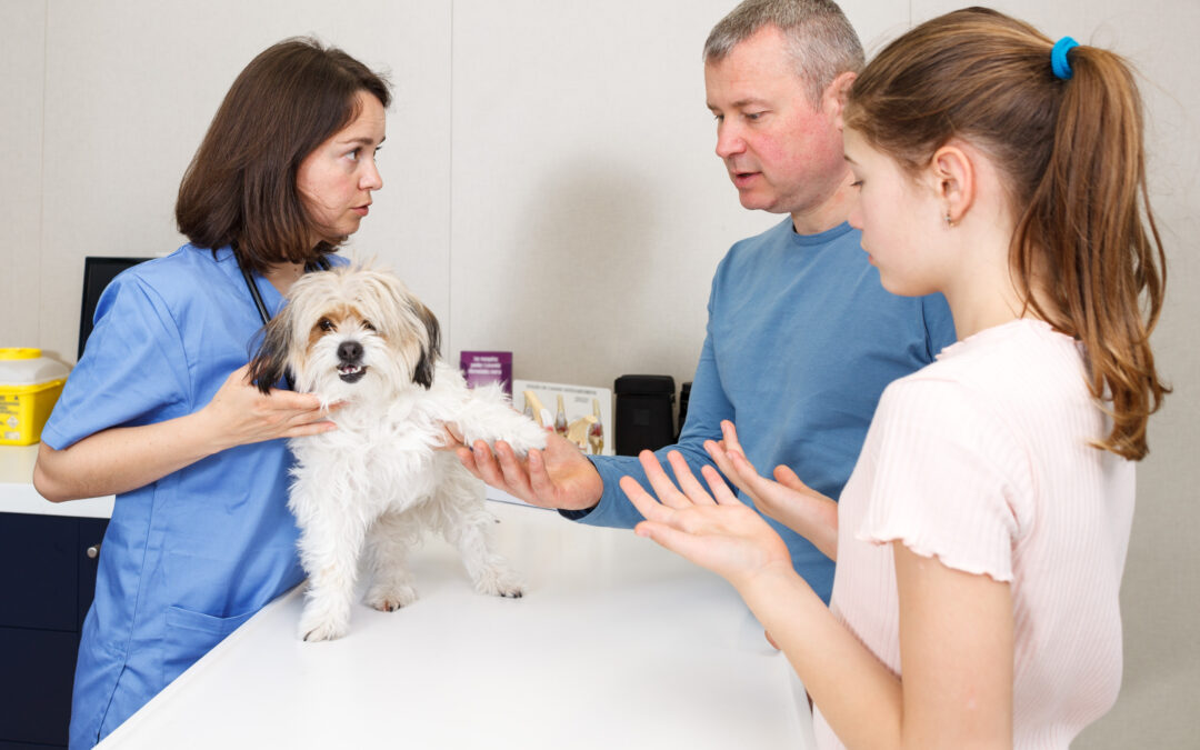 Stress In Client-Owned Dogs Related To Clinical Exam Location: A Randomised Crossover Trial
