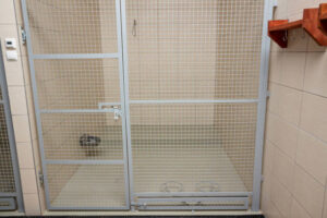 Empty Kennel