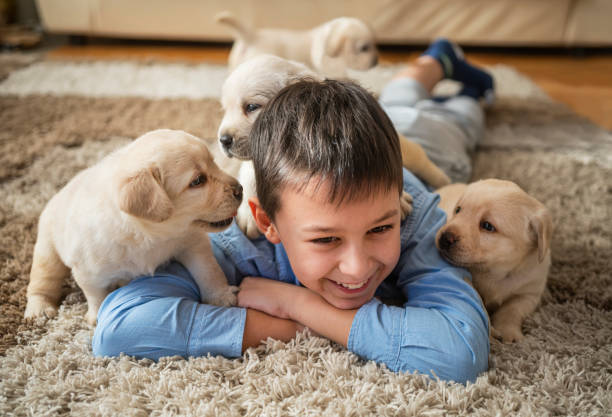 Critical Periods in the Development of Social Behavior in Puppies