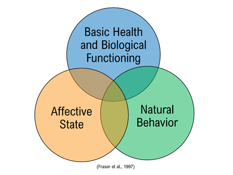 3 circles model