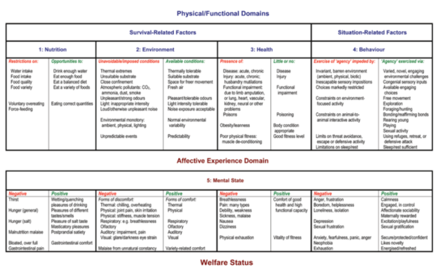 Animal Welfare - Canine Welfare Science