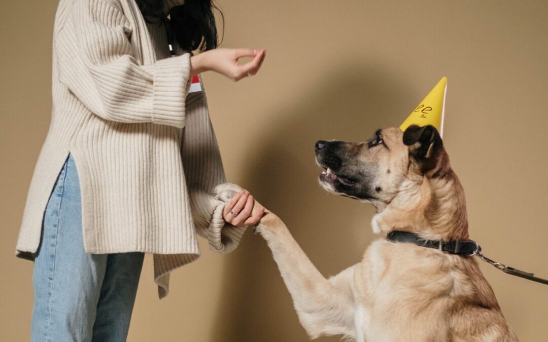 Be Dog Smart: Training Your Adult Dog