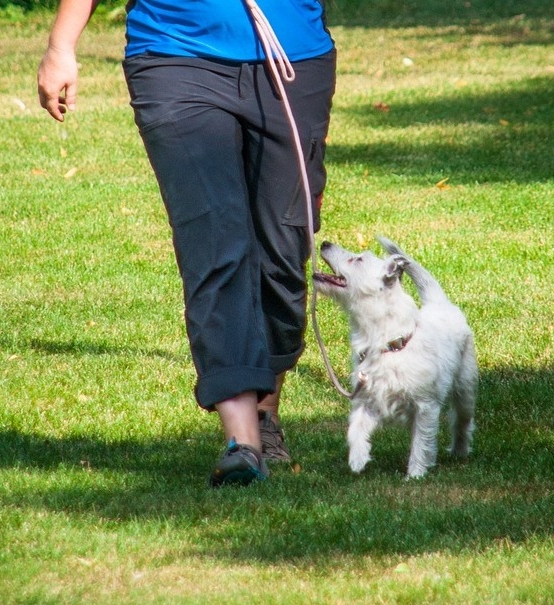 run-4442052_1280copy