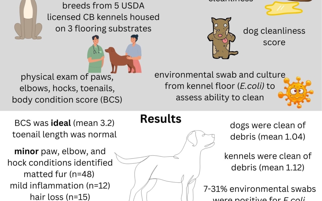 Does Flooring Substrate Impact Kennel and Dog Cleanliness in Commercial Breeding Facilities?