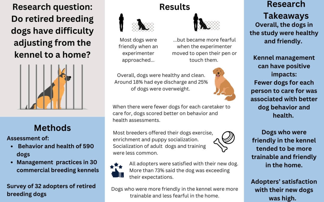 Management and behavioral factors associated with rehoming outcomes of dogs retired from commercial breeding kennels