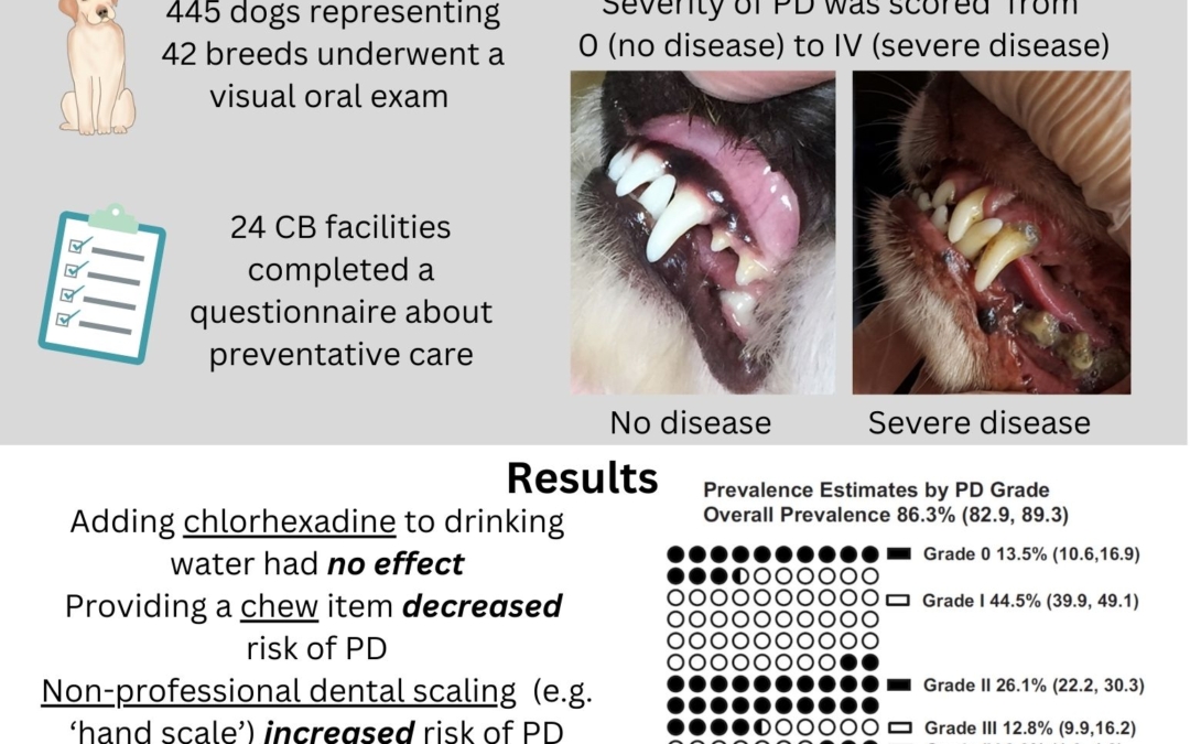 A cross-sectional study to estimate prevalence of periodontal disease in a population of dogs in commercial breeding facilities