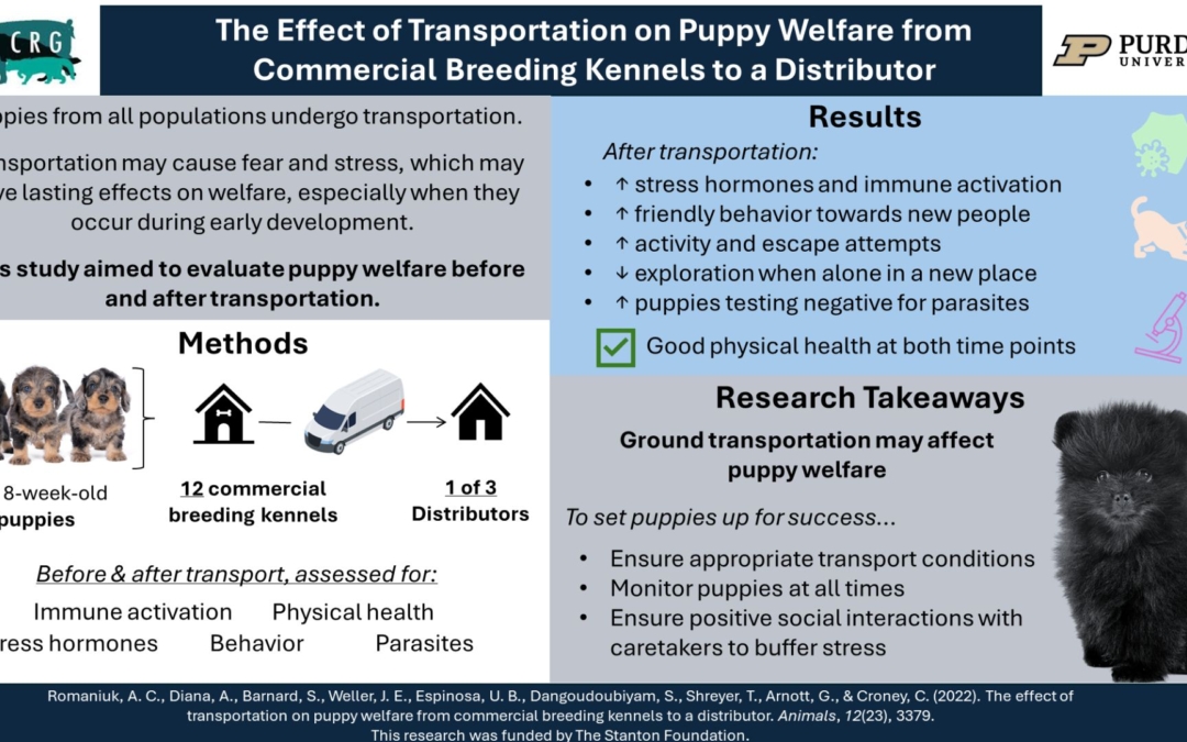 The Effect of Transportation on Puppy Welfare